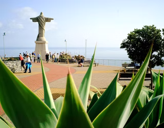 DSG_SCRUZ_2015_019-16655783760_edited.jp